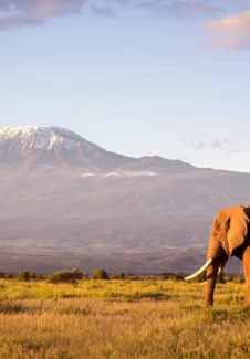 Tanzania