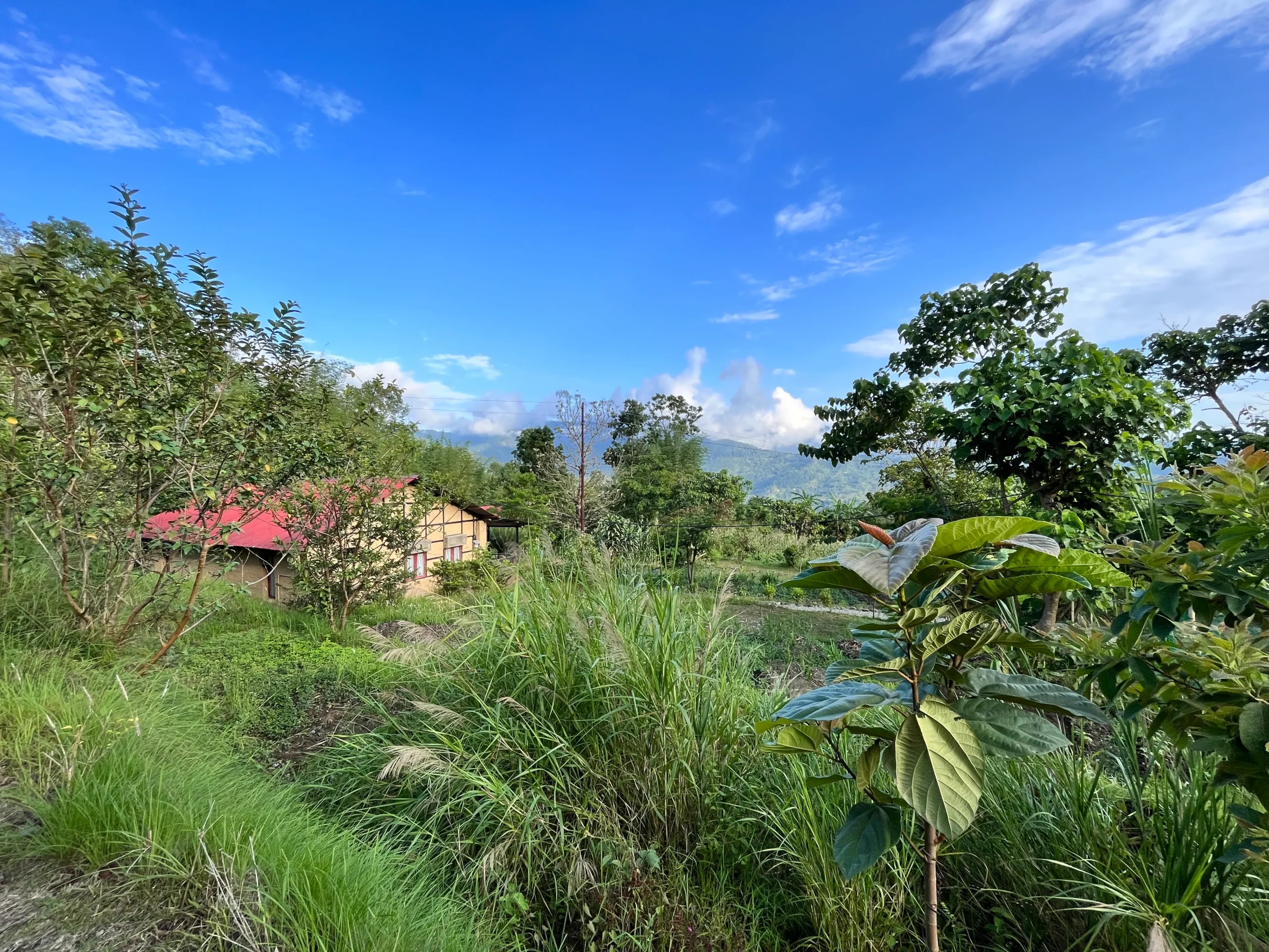 Two Room Farmstay Banner