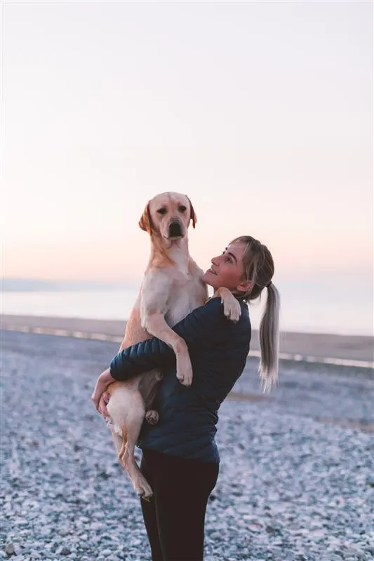 Pet Friendly Holiday